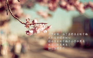 挽回时暴露了底牌,揭示底牌的挽回计划败露