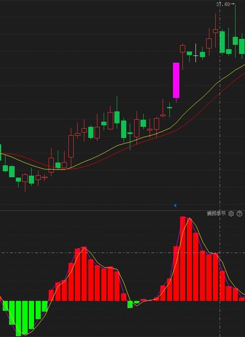 炒股亏损快怎么挽回,如何快速挽回炒股亏损
