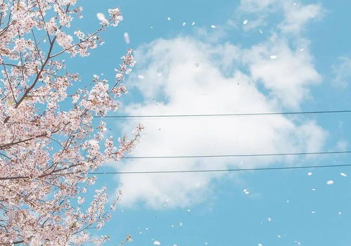 零三挽回怎么样,挽回爱情的三招