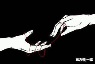 如何挽回被甩了,挽回分手感情的方法