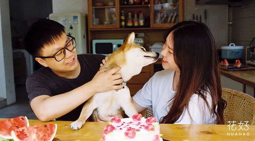 工作分手多年后挽回,分手多年后成功复合