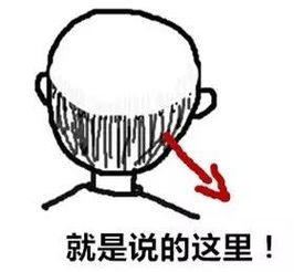 脱发能挽回吗,如何挽救脱发问题？