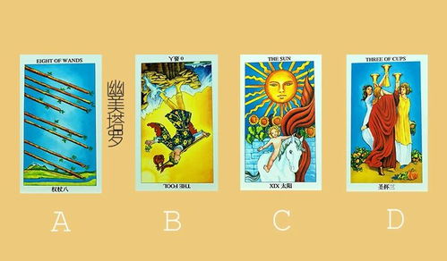 有必要挽回吗塔罗牌,如何挽回爱情？——塔罗牌指引