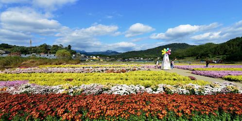 花镇挽回收费,花镇垃圾收费变革