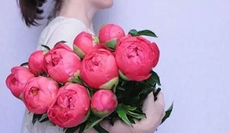挽回女友送花寄语短句,送花挽回女友，心语温馨动人