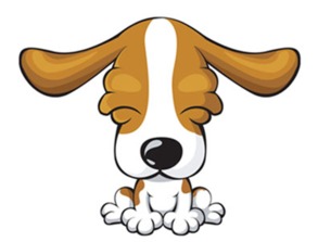 属鼠今日挽回运势,属鼠的今天运势转好，逆势而为！