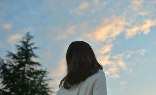 犯错后挽回恋人的话,如何挽回犯错后的恋人