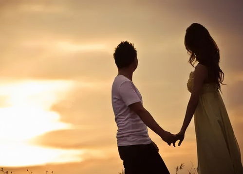 没有性的婚姻挽回,重拾幸福：让没有性的婚姻变得有爱有趣