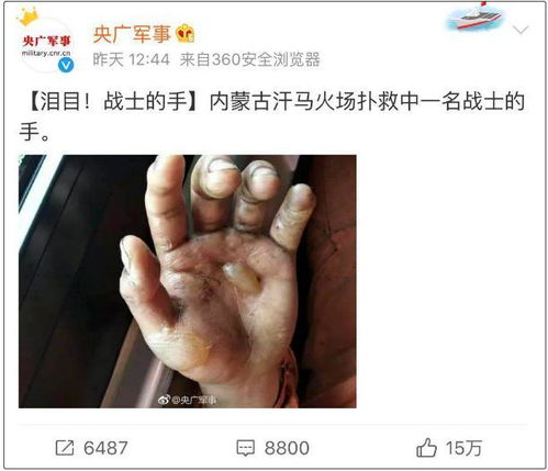 挽回生命的电话,生命线：重获新生的电话