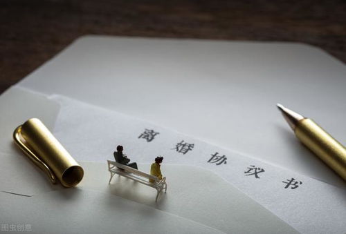 重生挽回前世老公小说，前夫归来：婚姻再续