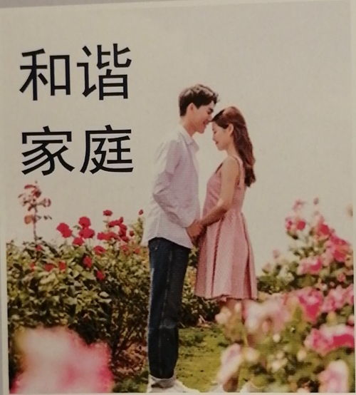 甘南婚姻挽回专业咨询,甘南情感挽回专家