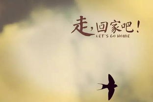 有关挽回诚信的句子,重振诚信，挽回信任