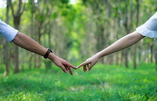 情感挽回很棒无恙情感,挽回爱情成功的方法大揭秘