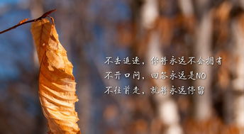 挽回怎么高位逆袭,成功挽回：高位逆袭的秘诀