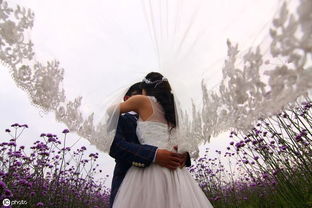 挽回前任高调回归,挽回前任，再续前缘