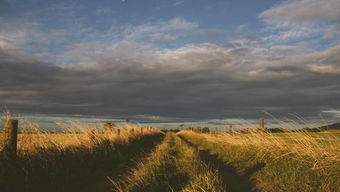 挽回国有土地,重返国有领域：回收土地