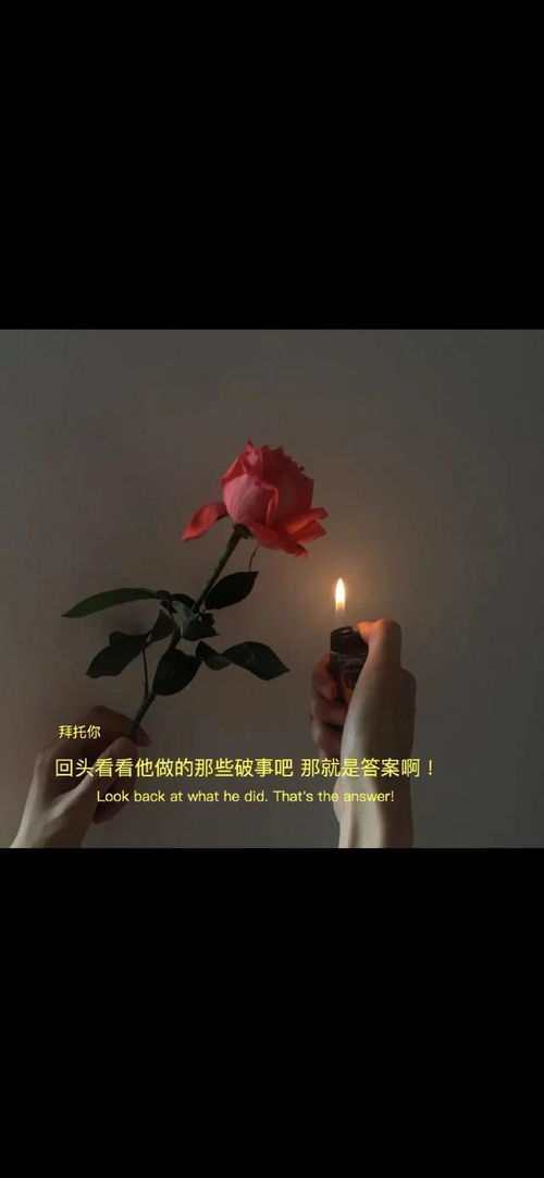 对不起是最好的挽回,最好的挽回，诚挚的道歉