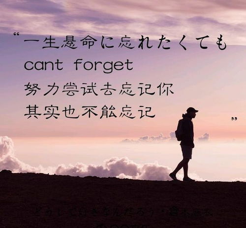 只有背叛才能挽回的句子，如何在背叛后重建信任？