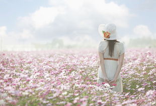 日照专业挽回男友办法,日照让你挽回男友的心灵疗愈攻略