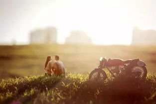 挽回的路上坎坷吗,挽回爱情：充满荆棘的道路