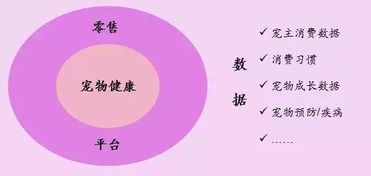 怎样布局挽回女朋友,挽回女友：布局和策略