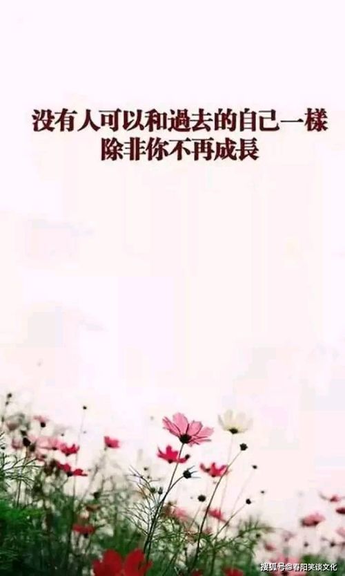 心态决定挽回的句子,改变心态成功挽回爱情