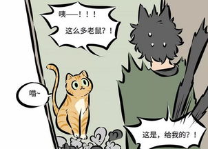 桃子情感挽回骗局文案,防范桃子情感挽回骗局，警惕感情陷阱