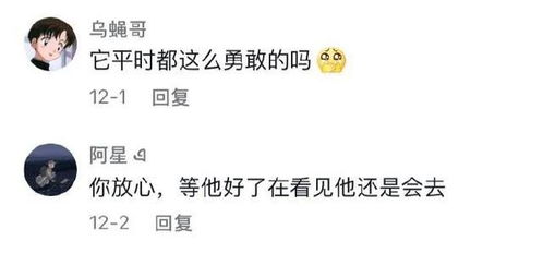 表白着拒怎么挽回,怎样挽回表白拒绝的对象？