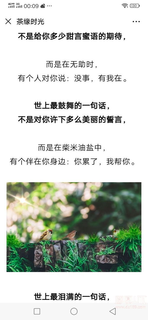 挽回感情的长句子,如何重新建立和恢复感情