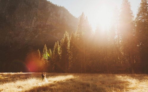 挽回情感最好的歌曲,最感人的歌曲，再次挽回爱情