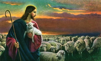 耶稣做了挽回祭,耶稣的救赎