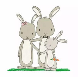 属猪的人怎么挽回老公,如何让属猪的妻子成功挽回丈夫？