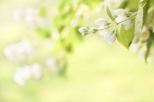 挽回巨蟹老公的心理,挽回巨蟹座男友的心