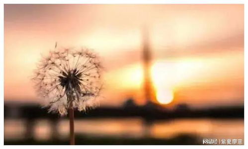 迟来的善良挽回不了,善良的追悔也无力，时间堵不住的流逝)