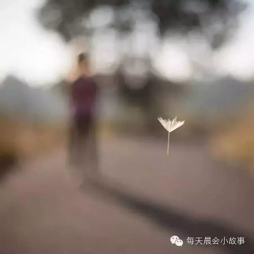 怎么挽回遗忘的感情,重新点燃情感火花：挽回失落感情