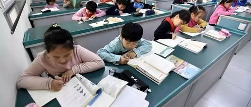 教师挽回学生的成语,教师改变学生 帮助他们发掘 potential