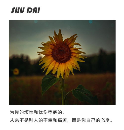 挽回你还有希望么,还有挽回的机会吗？——新标题：爱情能否重启？