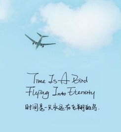 晚安挽回的挽组词,晚安挽回计划