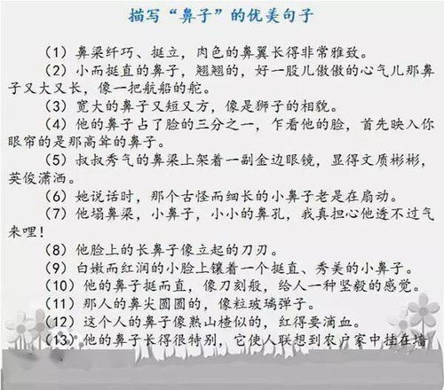 遗憾可以挽回的作文,把握遗憾，挽回美好)