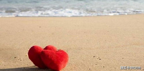 想挽回说的话简短,挽回爱情，道歉是关键