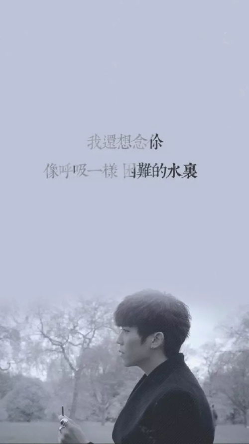 挽回不来的语录,如何挽回失去的感情