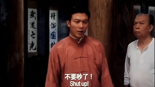 陈真挽回她免费下载,陈真挽回成功，免费领取下载！