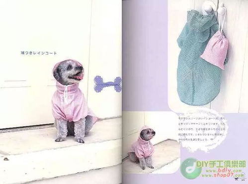 把衣服剪了怎么挽回,挽救“衣”情，如何？