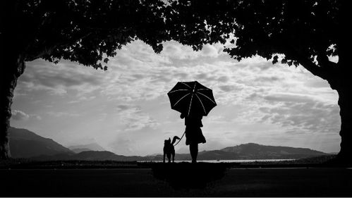 挽回的信心很动摇,信心动摇，如何挽回？