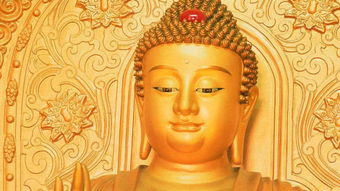 求佛菩萨挽回婚姻,佛菩萨的恩典，拯救婚姻情缘