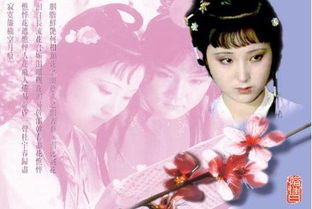 红楼之挽回天倾,红楼梦：挽回天倾