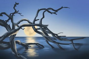 让白羊男主动挽回,白羊男如何主动挽回？