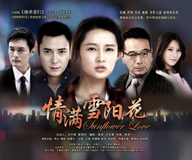 电视剧挽回女友，如何拯救感情，重拾爱的火焰