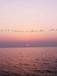 挽回过程的曲折,挽回爱情：波折重重的道路