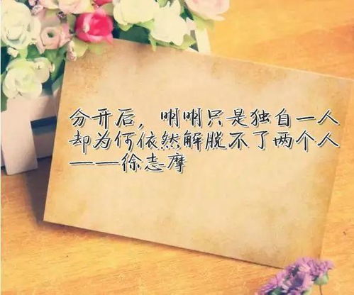 分手的感情不要挽回,感情破裂，放手才是解脱